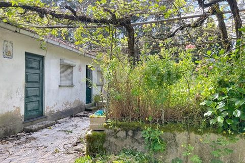 Villa i Caminha, Viana do Castelo, Caminha - € 220.000 | Ref: 2634 - foto 8