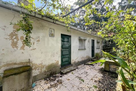 Villa i Caminha, Viana do Castelo, Caminha - € 220.000 | Ref: 2634 - foto 10