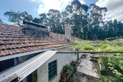 Villa i Caminha, Viana do Castelo, Caminha - € 220.000 | Ref: 2634 - foto 12