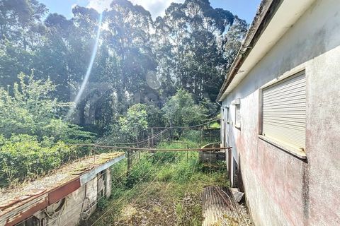 Villa i Caminha, Viana do Castelo, Caminha - € 220.000 | Ref: 2634 - foto 13