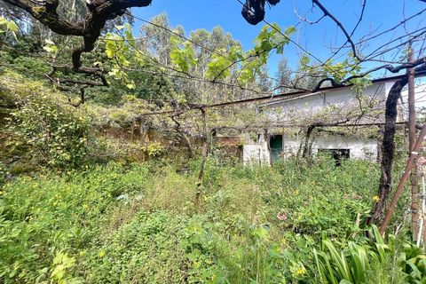 Villa i Caminha, Viana do Castelo, Caminha - € 220.000 | Ref: 2634 - foto 24