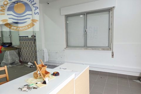 Erhvervsejendom i Ourem, Santarem, Ourem - € 435.000 | Ref: MAG_775 - foto 11
