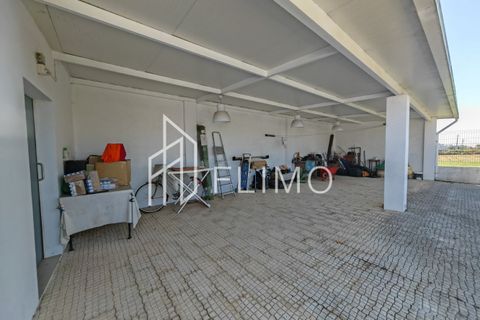 Villa a Estarreja, Aveiro, Estarreja - € 325.000 | Ref: M-117 - foto 37