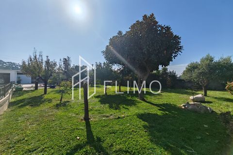 Villa a Estarreja, Aveiro, Estarreja - € 325.000 | Ref: M-117 - foto 43
