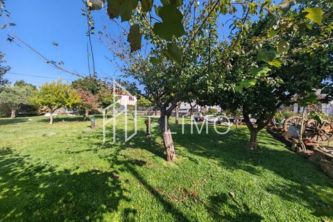Villa a Estarreja, Aveiro, Estarreja - € 325.000 | Ref: M-117 - foto 47