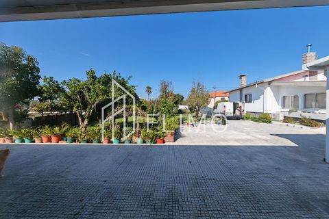 Villa a Estarreja, Aveiro, Estarreja - € 325.000 | Ref: M-117 - foto 49