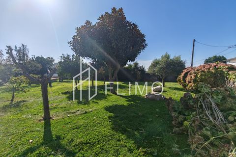 Villa a Estarreja, Aveiro, Estarreja - € 325.000 | Ref: M-117 - foto 50