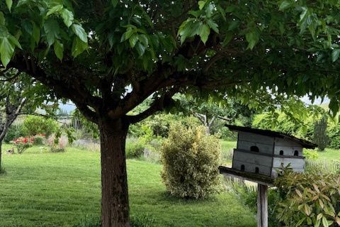 Villa a Limeyrat, Dordogne, Limeyrat - € 381.600 | Ref: 35930 - foto 25