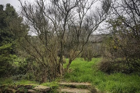 Villa a Paimpont, Ille-et-Vilaine, Paimpont - € 157.500 | Ref: 86417733 - foto 9