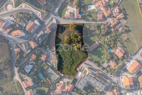 Helårsgrund i Oliveira do Douro, Porto, Oliveira do Douro - € 495.000 | Ref: ZMPT582321 - foto 2