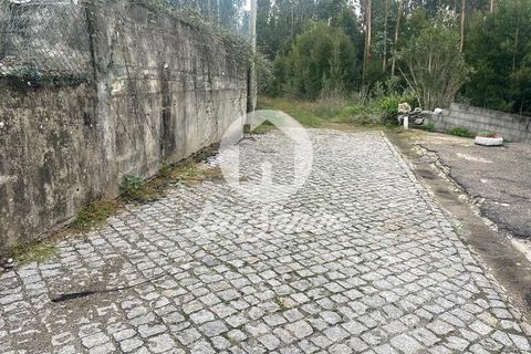 Helårsgrund i Trofa, Porto, Trofa - € 178.000 | Ref: 240-T-25971 - foto 2