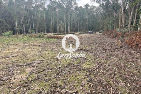 Helårsgrund i Vila do Conde, Porto, Vila do Conde - € 175.000 | Ref: 240-T-25977 - foto 6
