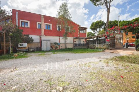 Byhus i Calvia, Mallorca, Calvia - € 1.250.000 | Ref: 1177 - foto 46