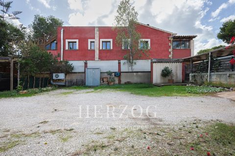 Byhus i Calvia, Mallorca, Calvia - € 1.250.000 | Ref: 1177 - foto 47