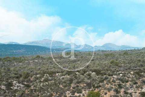 Villa i Palma De Mallorca, Mallorca, Palma De Mallorca - € 2.640.000 | Ref: ONPM2511002 - foto 11