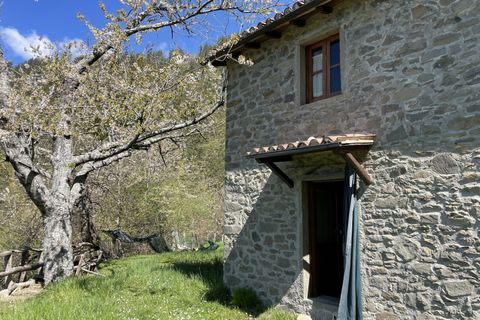 Landejendom i Barga, Lucca, Barga - € 179.000 | Ref: APS-345 - foto 5