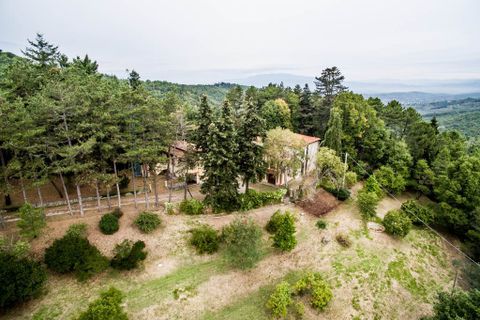 Villa i Arezzo, Arezzo, Arezzo - € 499.000 | Ref: a10862rv2393135 - foto 8