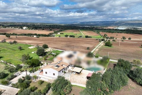Villa i Rosolini, Siracusa, Rosolini - € 395.000 | Ref: SC 43 - foto 6