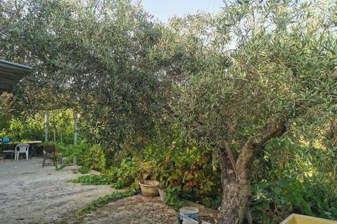 Villa a Cianciana, Agrigento, Cianciana - € 35.000 | Ref: RP-727732-727732 - foto 3