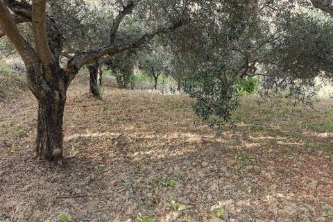 Villa a Cianciana, Agrigento, Cianciana - € 35.000 | Ref: RP-727732-727732 - foto 5