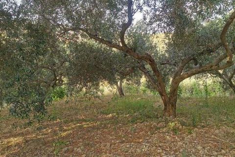Villa a Cianciana, Agrigento, Cianciana - € 35.000 | Ref: RP-727732-727732 - foto 6