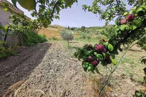 Villa a Cianciana, Agrigento, Cianciana - € 39.000 | Ref: RP-727743-727743 - foto 7