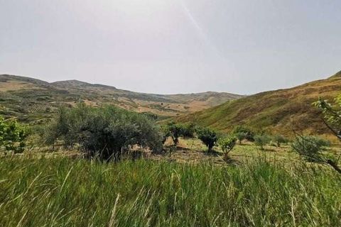 Villa a Cianciana, Agrigento, Cianciana - € 39.000 | Ref: RP-727743-727743 - foto 8