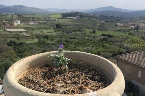 Byhus i Cianciana, Agrigento, Cianciana - € 110.000 | Ref: RP-727888-727888 - foto 10