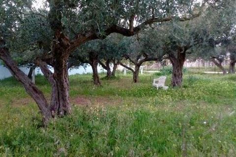 Villa a Cianciana, Agrigento, Cianciana - € 300.000 | Ref: RP-727963-727963 - foto 6