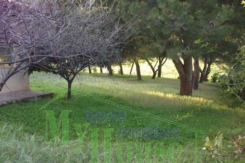 Villa a Cianciana, Agrigento, Cianciana - € 360.000 | Ref: RP-727985-727985 - foto 9
