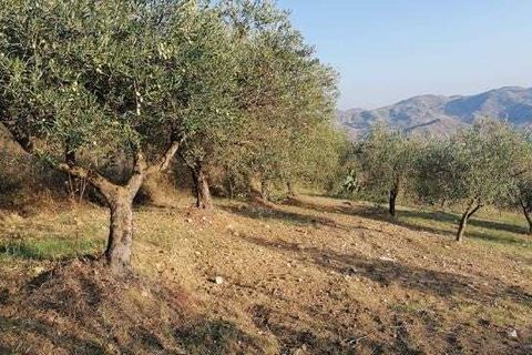 Villa a Cianciana, Agrigento, Cianciana - € 110.000 | Ref: RP-728018-728018 - foto 6