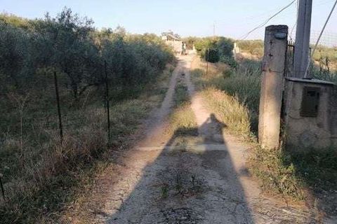 Villa a Cianciana, Agrigento, Cianciana - € 110.000 | Ref: RP-728018-728018 - foto 8