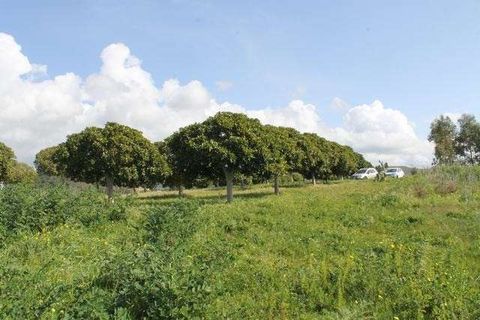 Villa i Cianciana, Agrigento, Cianciana - € 400.000 | Ref: RP-728316-728316 - foto 5