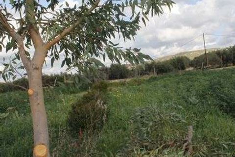 Villa i Cianciana, Agrigento, Cianciana - € 400.000 | Ref: RP-728316-728316 - foto 8