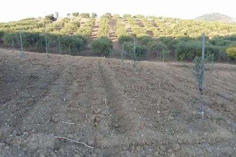 Villa i Cianciana, Agrigento, Cianciana - € 75.000 | Ref: RP-728448-728448 - foto 2