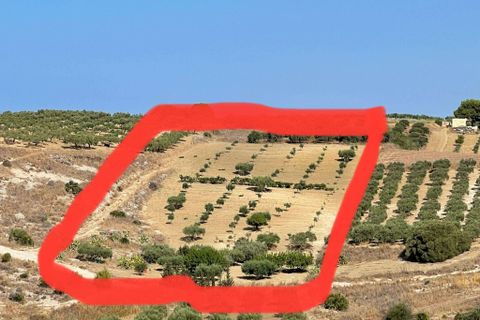 Villa i Cianciana, Agrigento, Cianciana - € 75.000 | Ref: RP-728448-728448 - foto 4