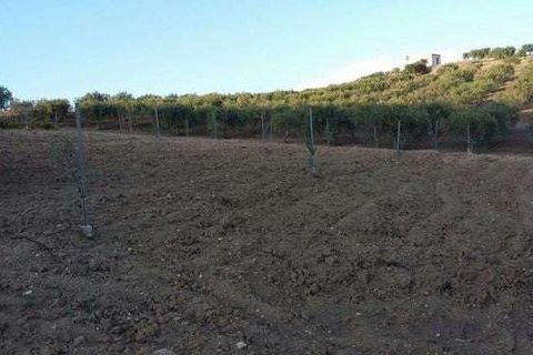 Villa i Cianciana, Agrigento, Cianciana - € 75.000 | Ref: RP-728448-728448 - foto 5