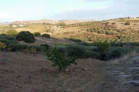 Villa i Cianciana, Agrigento, Cianciana - € 75.000 | Ref: RP-728448-728448 - foto 6
