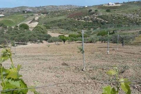 Villa i Cianciana, Agrigento, Cianciana - € 75.000 | Ref: RP-728448-728448 - foto 9