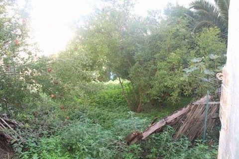 Villa i Cianciana, Agrigento, Cianciana - € 109.000 | Ref: RP-728492-728492 - foto 2