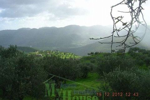 Villa a Cianciana, Agrigento, Cianciana - € 49.000 | Ref: RP-728565-728565 - foto 8