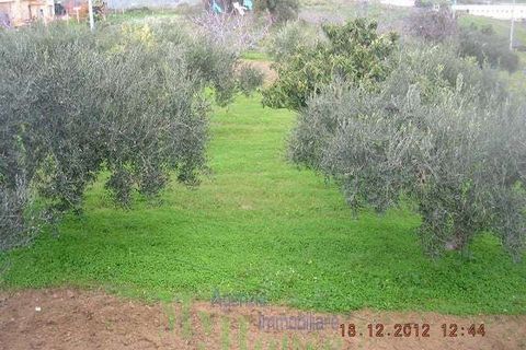 Villa a Cianciana, Agrigento, Cianciana - € 49.000 | Ref: RP-728565-728565 - foto 10