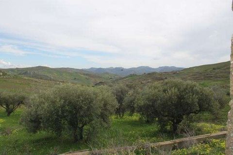 Villa i Cianciana, Agrigento, Cianciana - € 49.000 | Ref: RP-728608-728608 - foto 9