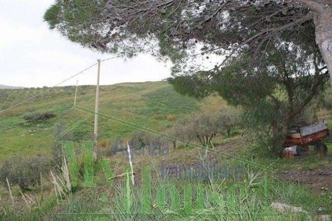 Villa i Cianciana, Agrigento, Cianciana - € 299.000 | Ref: RP-728630-728630 - foto 4