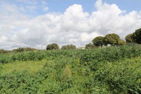 Villa a Cianciana, Agrigento, Cianciana - € 200.000 | Ref: RP-728711-728711 - foto 3