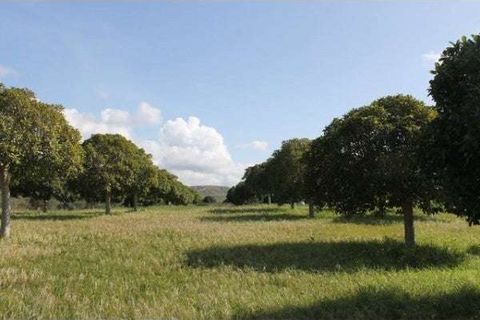 Villa a Cianciana, Agrigento, Cianciana - € 200.000 | Ref: RP-728711-728711 - foto 5