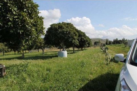 Villa a Cianciana, Agrigento, Cianciana - € 200.000 | Ref: RP-728711-728711 - foto 7
