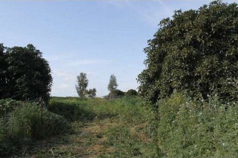 Villa a Cianciana, Agrigento, Cianciana - € 200.000 | Ref: RP-728711-728711 - foto 10