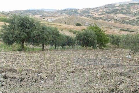 Villa a Cianciana, Agrigento, Cianciana - € 29.000 | Ref: RP-729117-729117 - foto 5