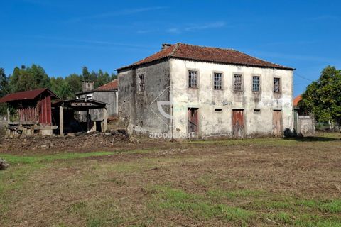 Farm i Ponte de Lima, Viana do Castelo, Ponte de Lima - € 349.000 | Ref: AV6526 - foto 4
